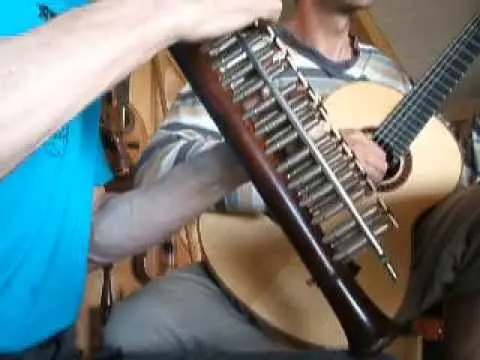 Harmonicor Accordina