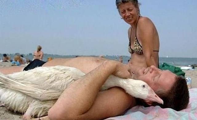 Kutyával strandra járni már eléggé unalmas.
