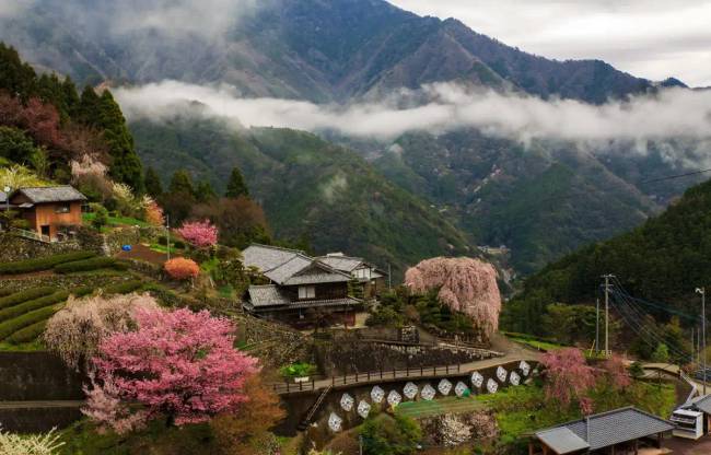A japán tankokat ilyen szokatlan körülmények közötti harcra fejlesztették ki.