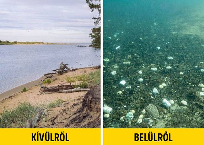 Egészségtelen vizek
