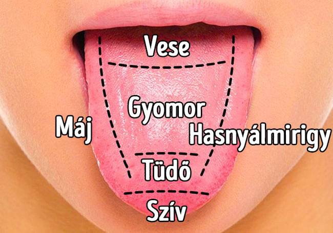Miért válik fehér színűvé a nyelv?