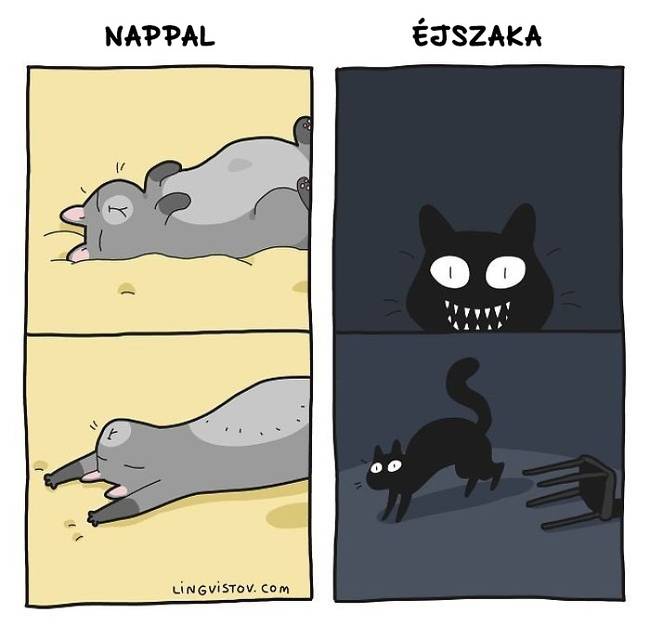 Egy művészduó képregényeket készít a macskagazdik legtipikusabb pillanatairól