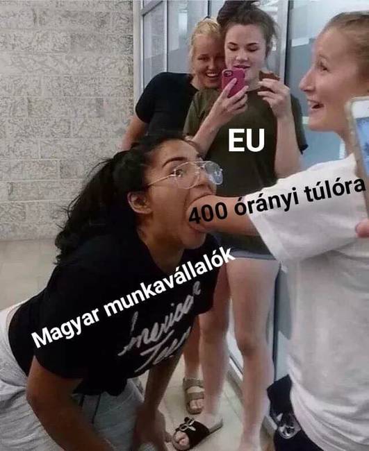 Összegyűjtöttük a 25 legjobb túlóratörvénnyel kapcsolatos mémet