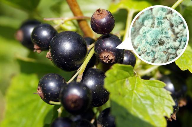 18 őrült tény, ami után teljesen más szemmel nézünk a mindennap használt termékekre