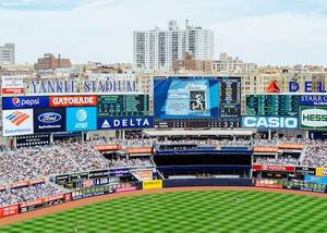 Meccsnézés a Yankee Stadionban