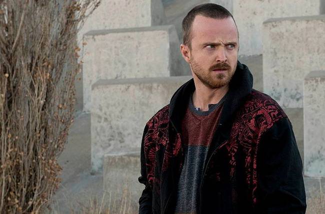 Breaking Bad — Aaron Paul