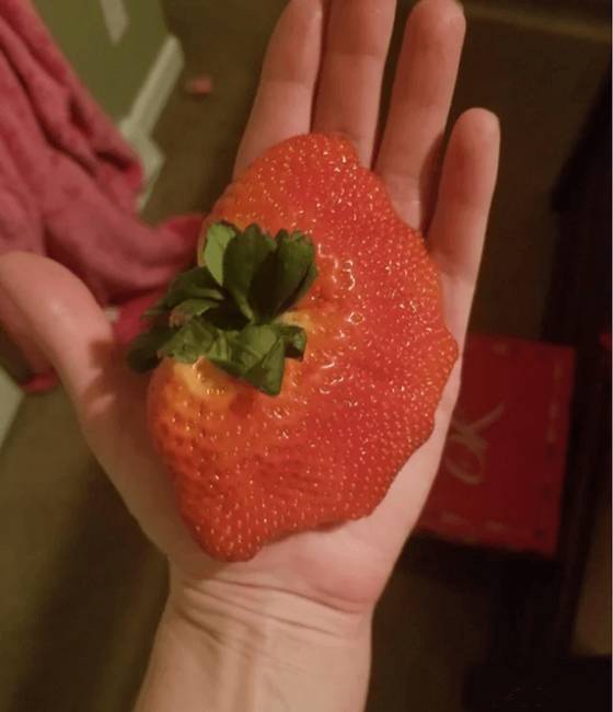 Ez az egy eper kitesz egy egész csomag epret.