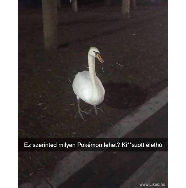 Majd le esik neki, ha belecsíp a fenekébe… :P