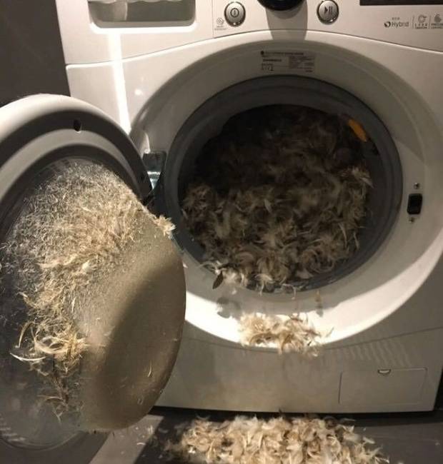 „Ennyit a kedvenc párnámról...”