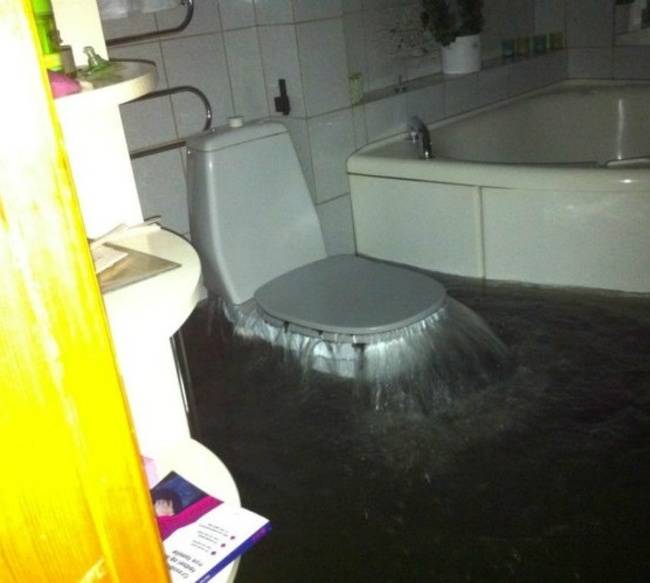 Úgy tűnik, hogy a vécéknek is lehetnek rossz napjaik.