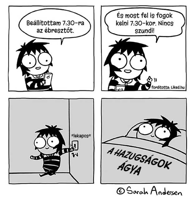 14 humoros képregény a független és felelősségteljes felnőtt életről