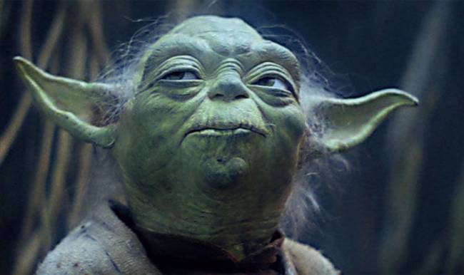 Soha nem derült ki, hogy pontosan milyen fajhoz is tartozik Yoda.