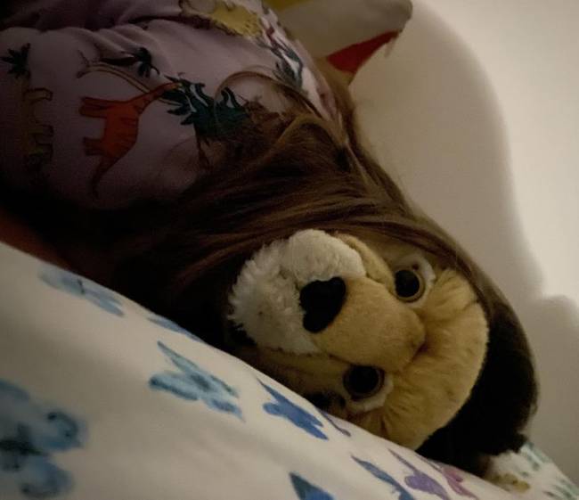 „A lányom lefekvéskor mindig átöleli a plüssjátékát."