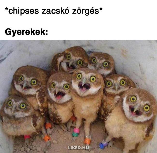 20 anyasággal kapcsolatos mém, ami remekül summázza a gyereknevelést
