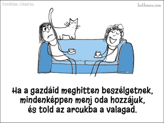 20 humoros illusztráció, ami megmutatja, hogyan kell jó macskának lenni