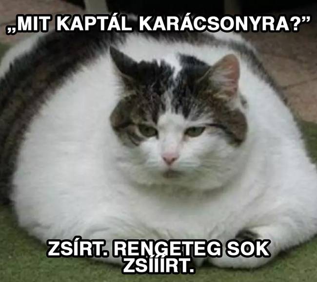 20 vicces karácsonyi mém, ami többet mond minden szónál