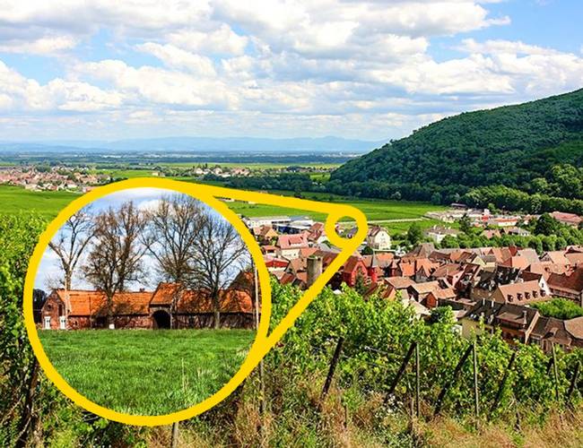 Roubaix (Franciaország)