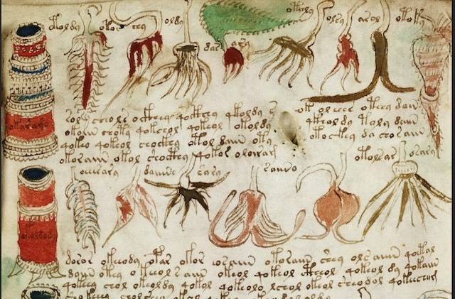 A történelem legrejtélyesebb könyve: a Voynich-kézirat