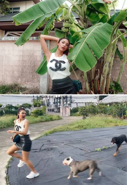 Thai modell 020