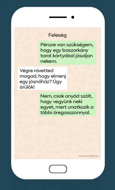 Feleségpajtás