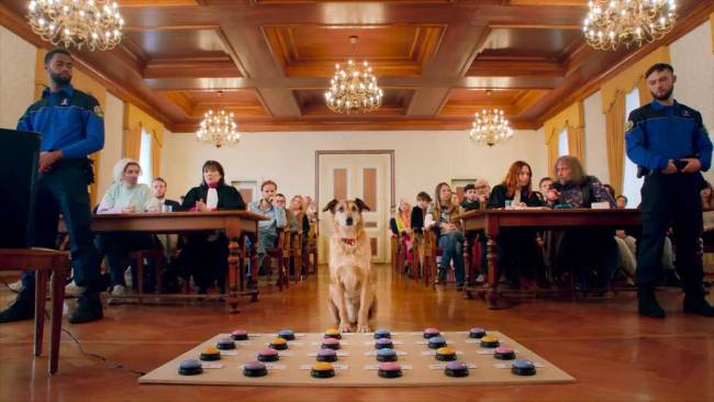 A kutyák saját Oscar-díja: a Palm Dog-díj nyertesei az elmúlt tíz évből