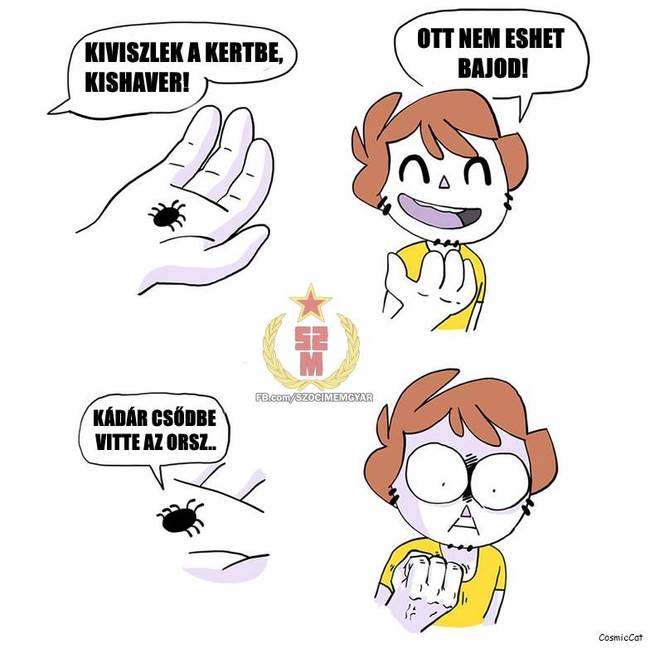 30 szocialista mém, amit csak a történelemben jártas emberek érthetnek igazán