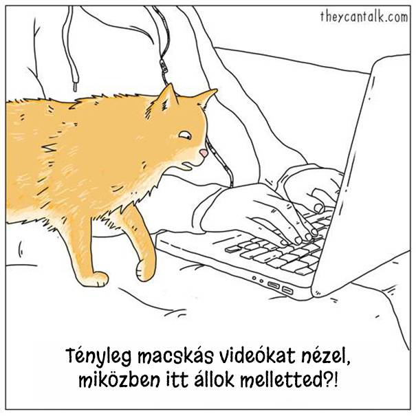20 vicces illusztráció, ami bemutatja a kutyák és macskák furcsábbnál-furcsább szokásait