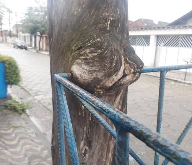 „Ma reggel készítettem ezt a képet munkába menet."