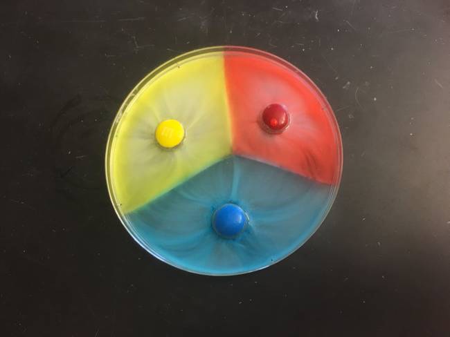 Mi történik, ha az M&M's drazsékat meleg vízbe tesszük?