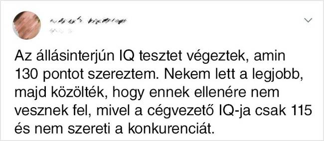 Cégvezető IQ