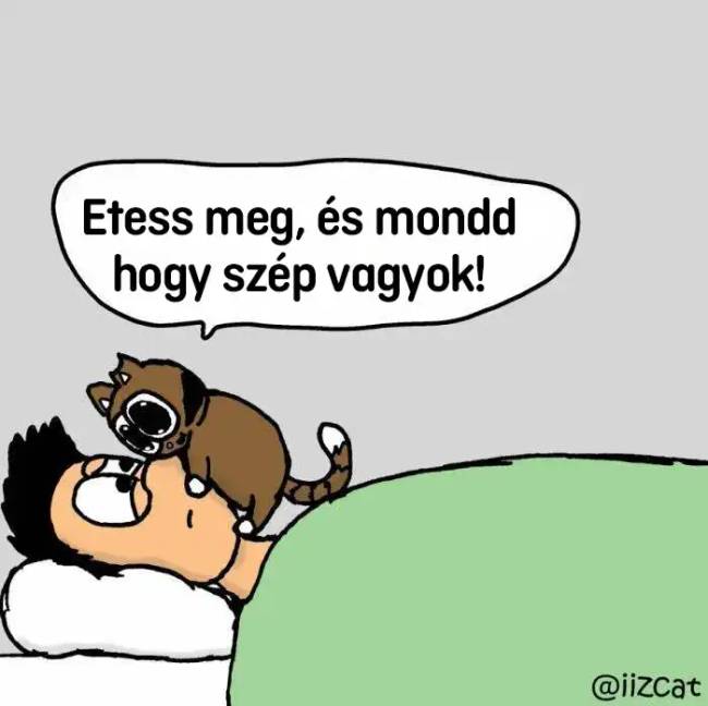 Macskás képregények 001