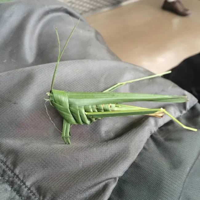Fotók japánból 18