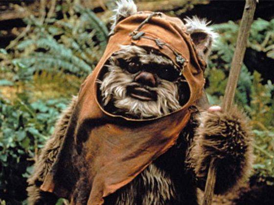 Az a szó, hogy "ewok", egyszer sem hangzott el egyik Csillagok háborúja epizódban sem.