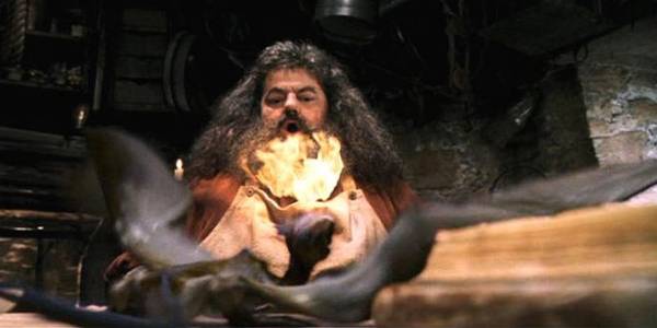 Milyen fajta sárkány volt Norbert(a), Hagrid kis kedvence?