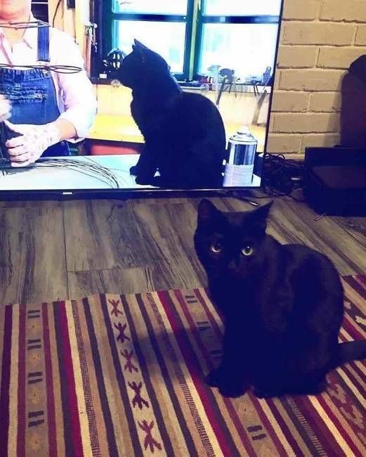 „Állat ez a 3D televízió!"