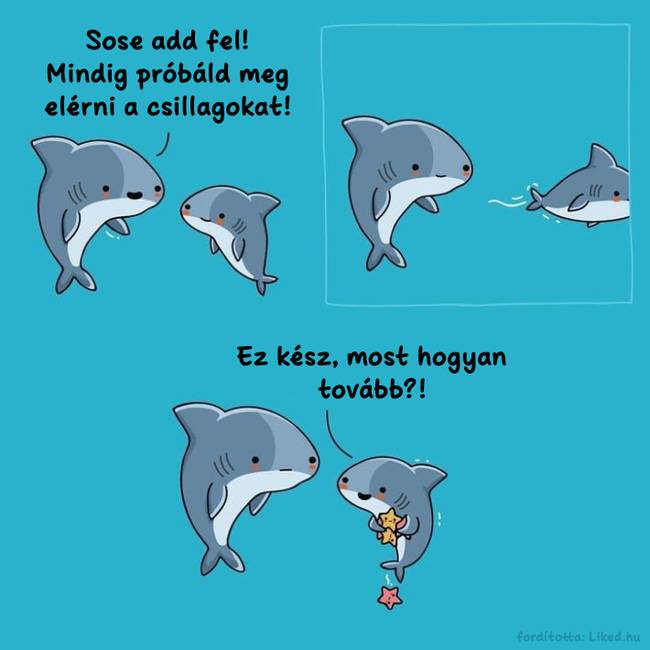 A csillagok ott vannak körülöttünk, csak értük kell nyúlnunk!