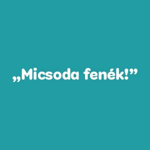 Milyen kutya vagy