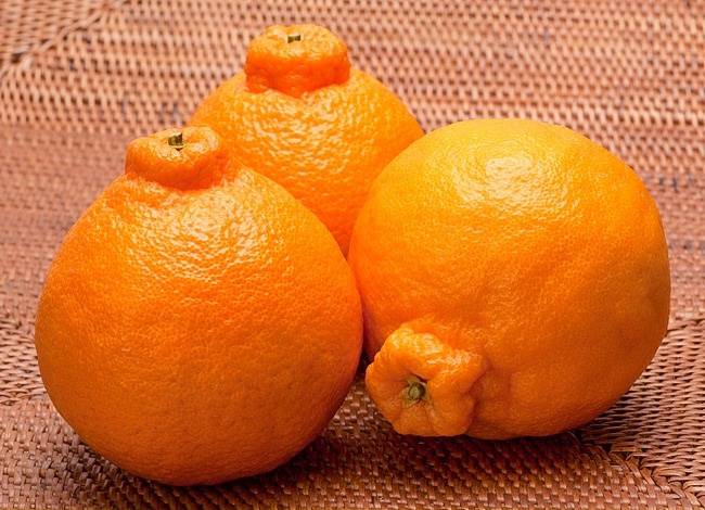 Dekopon mandarin-narancs: 4 ezer forint/darab