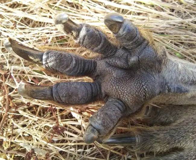 13 fényképrejtvény, amiken nem mindenki találja meg a választ