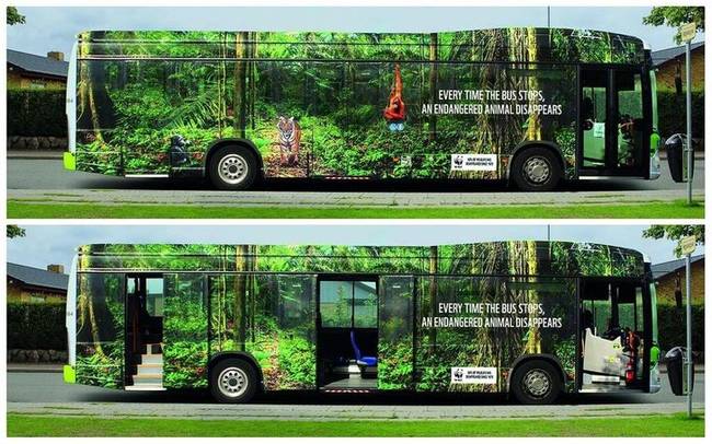 „Valahányszor ez a busz megáll, eltűnik kihal egy veszélyeztetett faj a Földön"