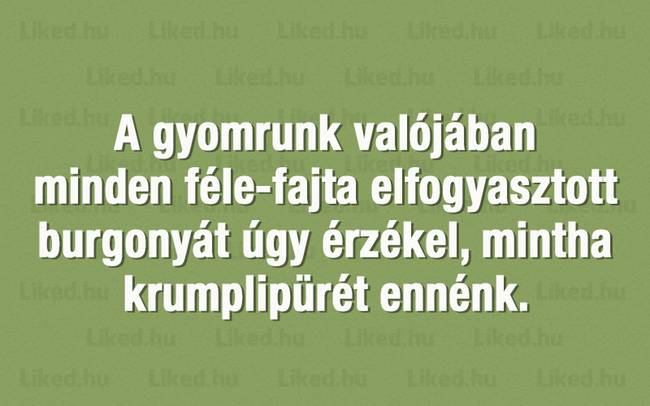 20+ érdekes tény a nagyvilágból, amit legvadabb álmainkban sem gondoltunk volna