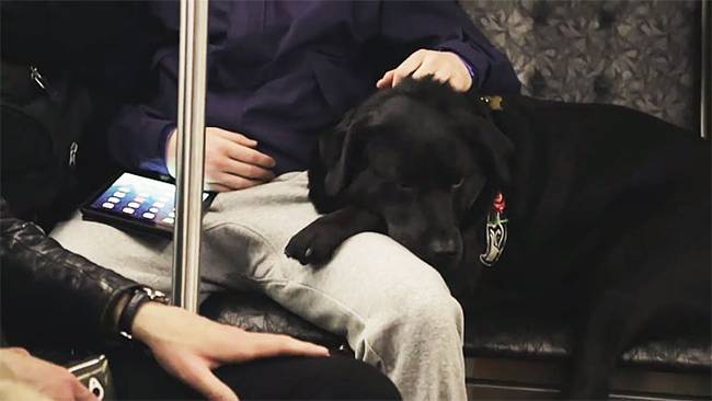 Ennél már csak az okozott nagyobb meglepetést, amikor a parkhoz érve egyszerűen fogta magát és leszállt a buszról.