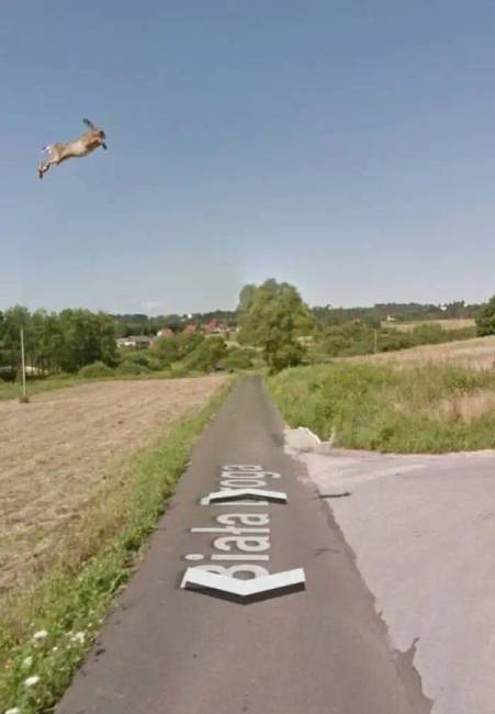 30 váratlan felfedezés a Google Earth-ön