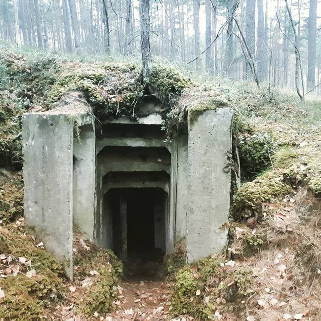 „Erre a régi szovjet bunkerre bukkantam az erdőben."