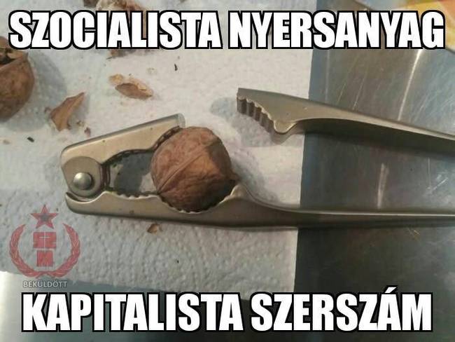 30 szocialista mém, amit csak a történelemben jártas emberek érthetnek igazán