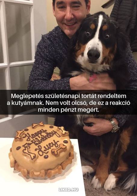 16 kutyás Snapchat-üzenet, ami kétségkívül jobb hellyé tette az internetet