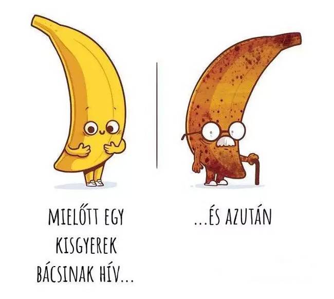 15 gúnyos emberi szokás, a leghétköznapibb tárgyaink segítségével illusztrálva