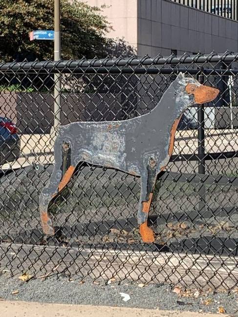 Ez a fém dobermann annyira elrozsdásodott idővel, hogy egyre inkább hasonlít egy igazi dobermannra.