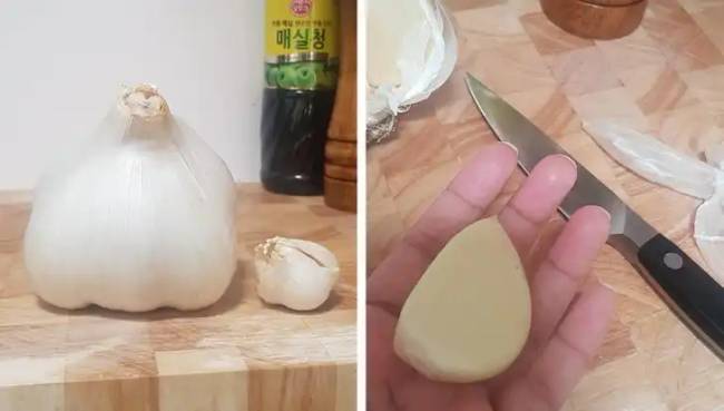 Hasonló dolgok és különbségek 002