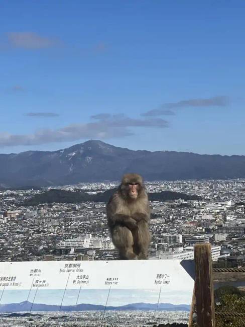 Japán dolgok 022